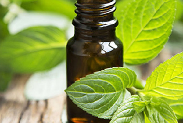 Peppermint Oil Benefits