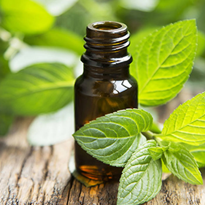 Peppermint Oil Benefits